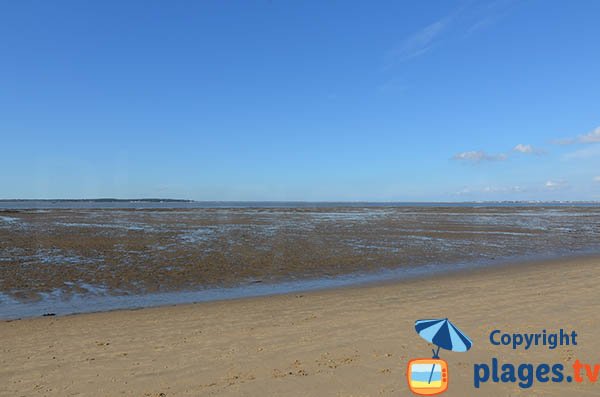 Beach of Ronce les Bains at low tide