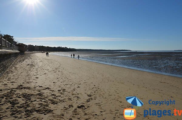 Photo de la plage de Ronce les Bains en Charente Maritime