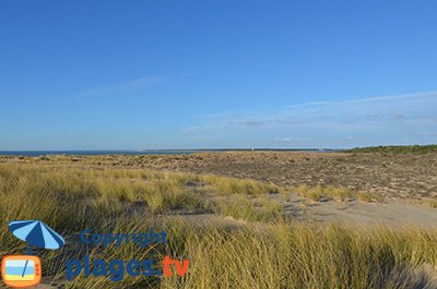 Plage à Ronce les Bains - La Tremblade