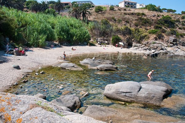 Photo de la plage du Roncu à Calvi