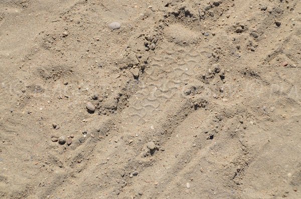 Photo du sable de la plage de Rondelli à Menton
