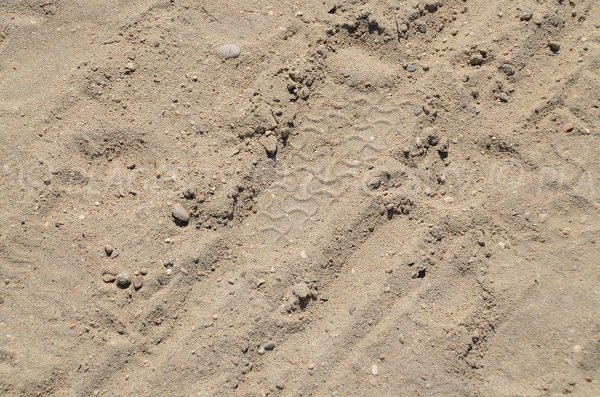 Photo of the sandy beach of Rondelli in Menton