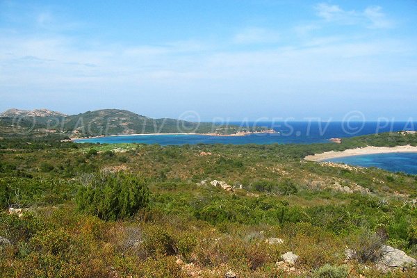 Gulf of Rondinara in Corsica in France
