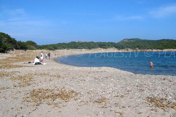 Beach near the tip of Rondinara