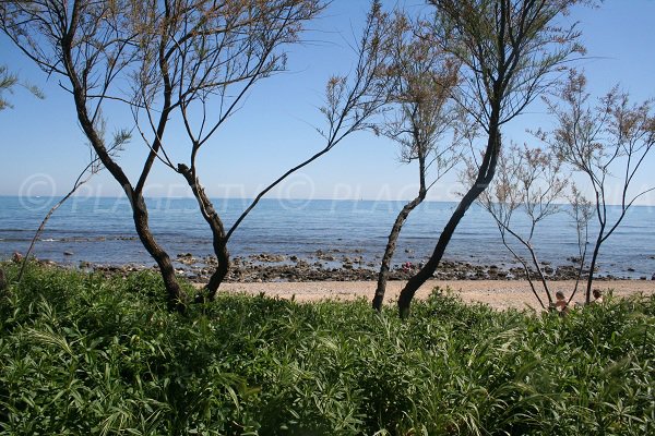 Extrémité de la plage de la Roquille au Cap d'Agde