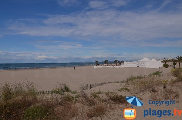 Plage privée - La Rose Sables - La Grande Motte