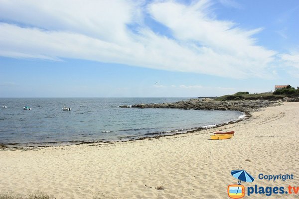 Crique des Roses sur l'ile d'Yeu