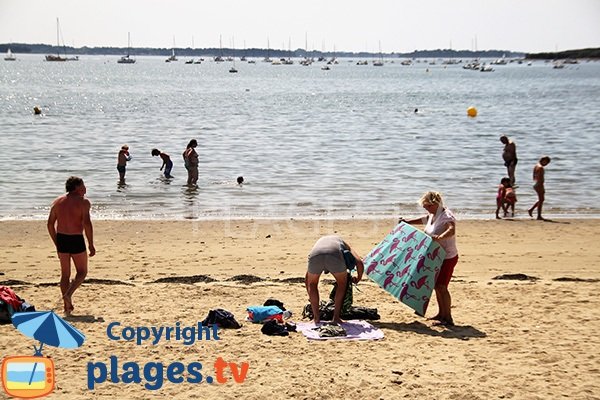 Baignade sur l'ile d'Arz - Rudevent