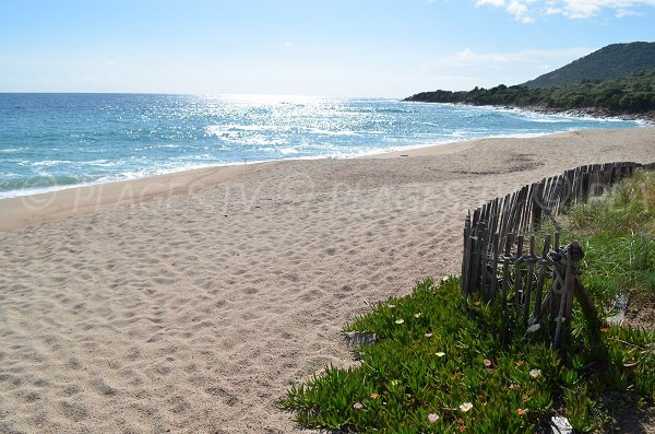 Foto della spiaggia Ruesco a Olmeto