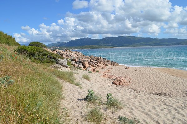 End of Ruesco beach in Corsica