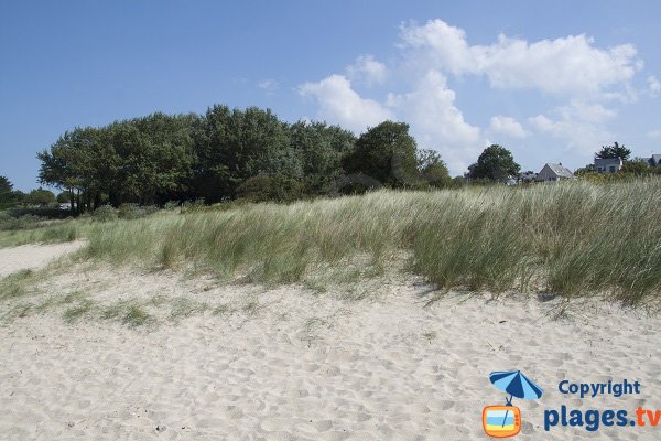 Environnement de la plage du Ruet