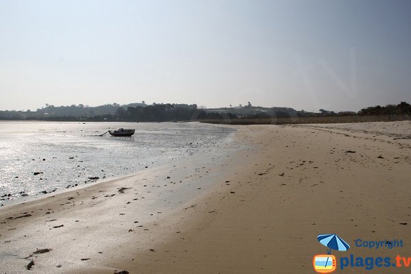 Plage de Ruguel à marée basse - Roscoff