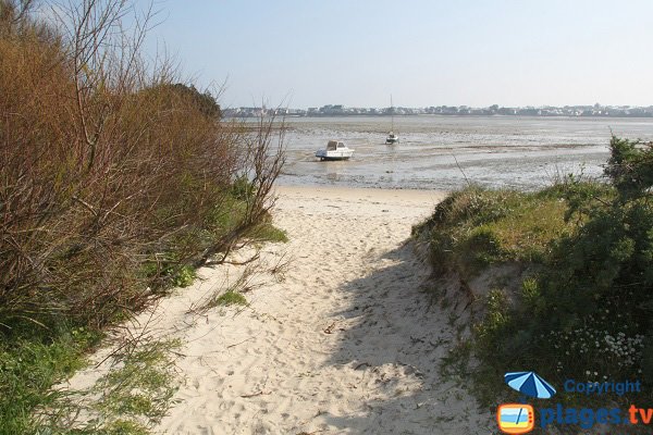 Anse du Laber à Roscoff