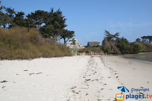 Plage de sable blanc à Roscoff