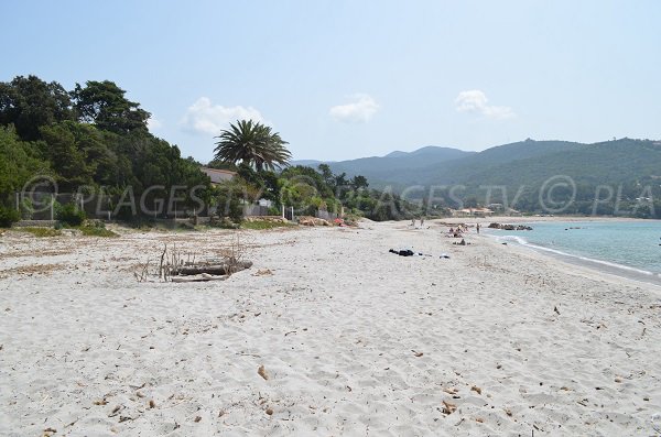 Ruppione beach in Corsica