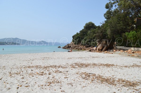 All'estremità nord della spiaggia di Ruppione