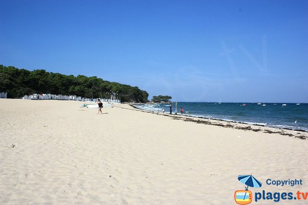 Spiaggia sorvegliata sull'isola di Noirmoutier