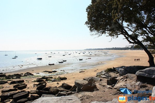 Plage des Sableaux vue depuis la pointe Saint Pierre - Noirmoutier