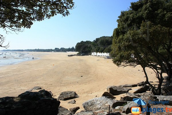 Plage des Sableaux à marée basse - Noirmoutier