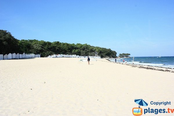 Photo of Sableaux beach in Noirmoutier in France