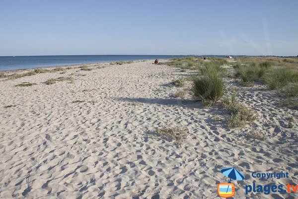 Plage des Sables Blancs à Plouharnel