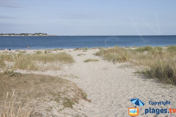 Environnement de la plage des Sables Blancs à Plouharnel - Quiberon