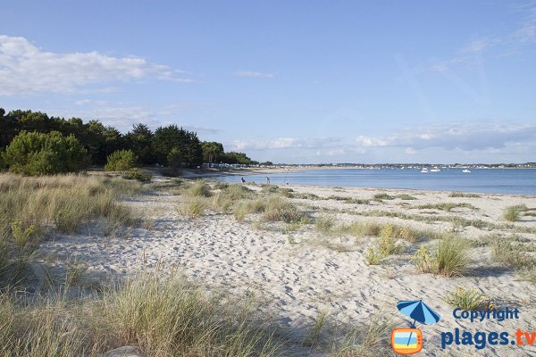 Photo de la plage des Sables Blancs à Plouharnel