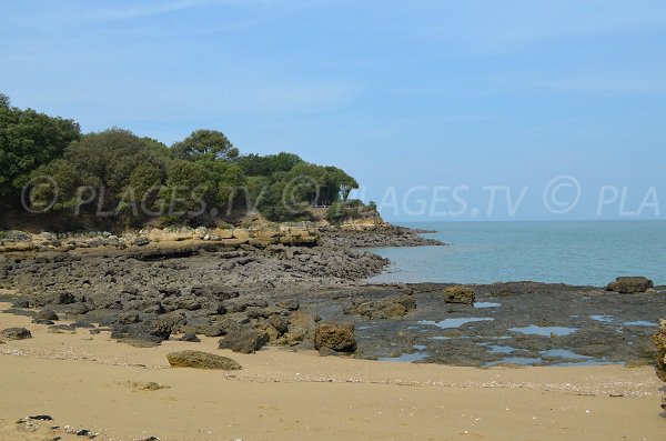 Les gros rochers de cette plage doit être la cause de l'interdiction de baignade