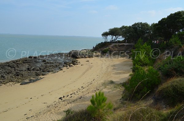 Vue générale de la plage des Sables Jaunes