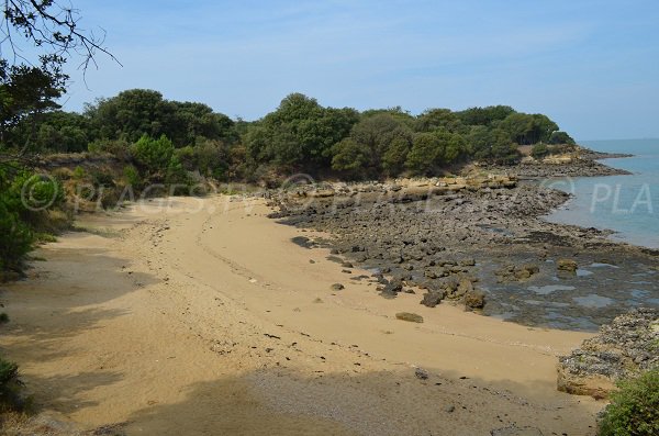 Yellow Sands Beach on the island of Aix