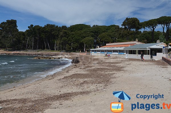 Photo de la plage de Sainte Asile à Saint Mandrier