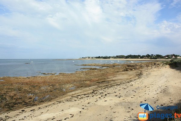 St Aubin beach in Ile d'Yeu in France