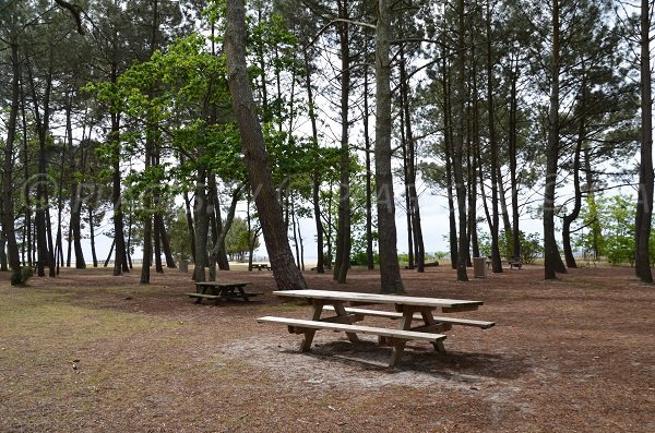 Aire de pique nique à côté de la plage de St Brice à Arès