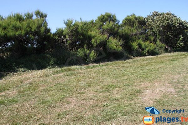 Parking de la plage de St Eden - Plouescat