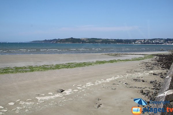 Algues vertes sur la plage de Saint Efflam