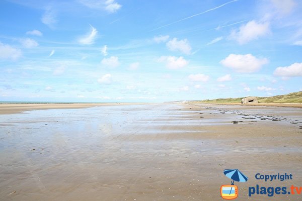 Plage de St Frieux à Dannes