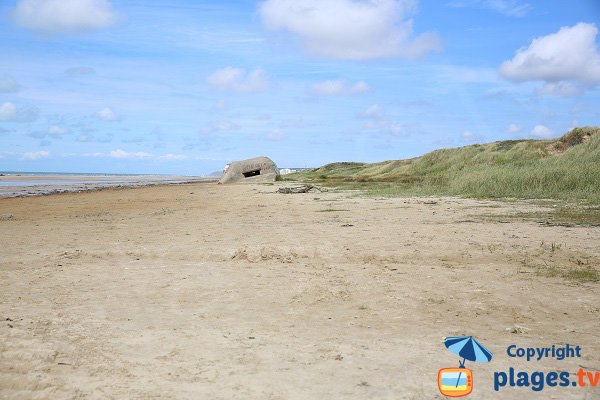 Dunes de la plage de Dannes