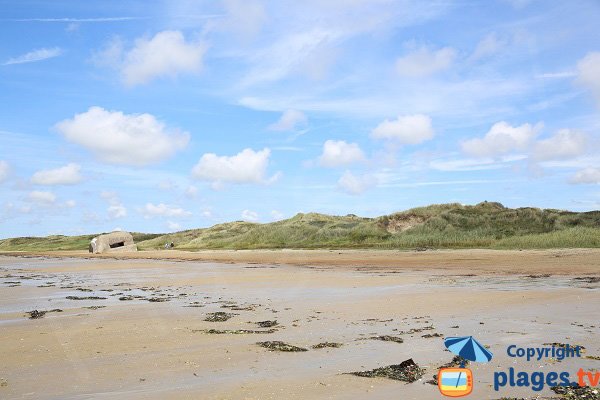 Dunes du Mont Saint Frieux - Dannes