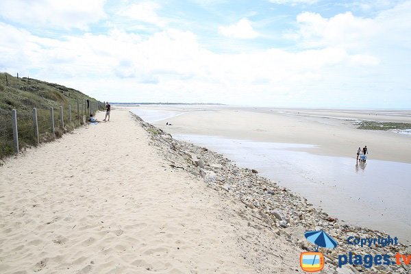 Plage de Saint Gabriel vers le sud - Camiers