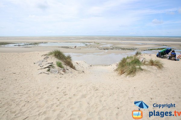 Photo de la plage de Saint Gabriel à Ste Cécile - Camiers