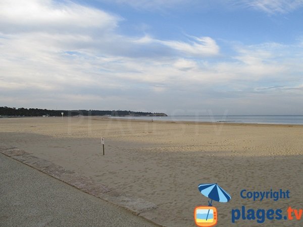 Zone sauvage de la plage de Saint Georges de Didonne