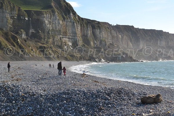 Cliffs of Saint Jouin beach