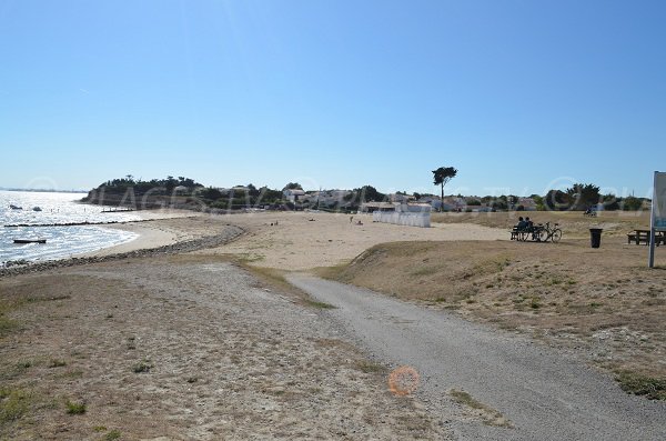 Beach in Saint Martin de Ré