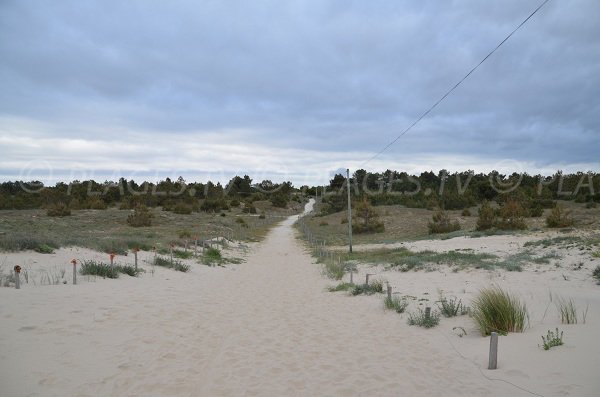 Sentier pour se rendre à la plage St Nicolas au Verdon sur Mer