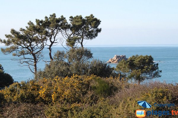 Environnement de la plage de Saint Samson