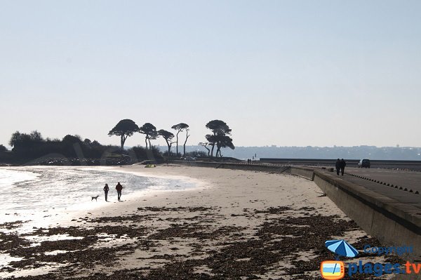 Photo de la plage de Sainte Anne de St Pol de Léon