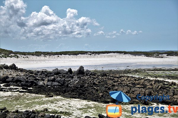 Plage et dune de Sainte Marguerite - Landeda