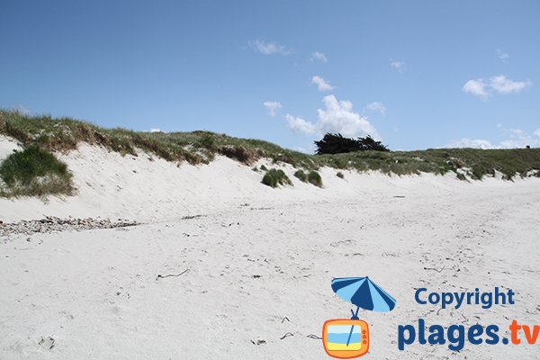 Sable de la plage de Ste Marguerite à Landéda