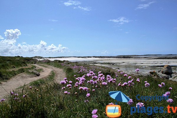 Photo de la plage Nord de Sainte Marguerite - Landéda