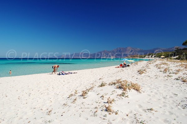 Photo de la plage de Saleccia en Corse